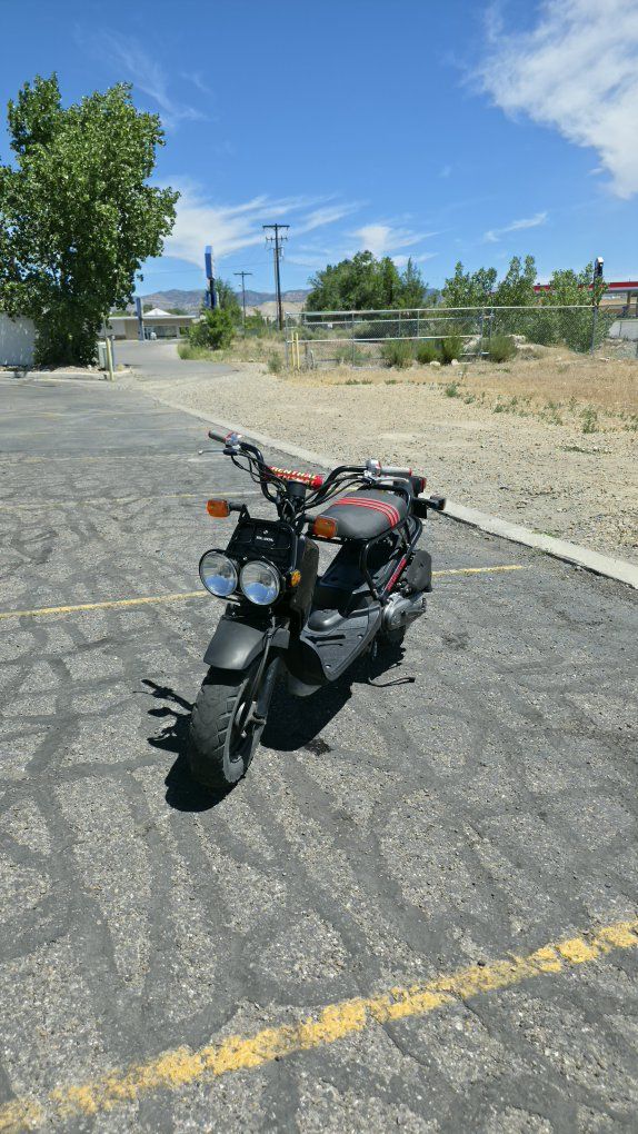 2012 Honda Ruckus