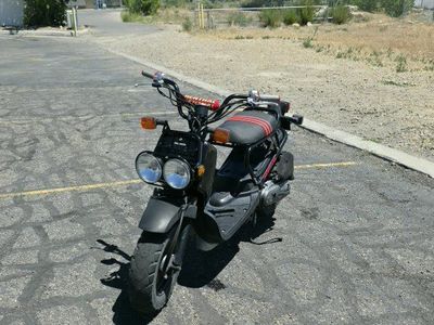 2012 Honda Ruckus