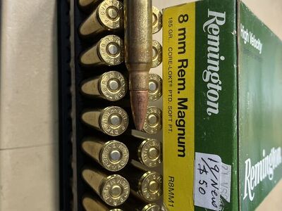 Factory 8mm Rem Mag Ammo.