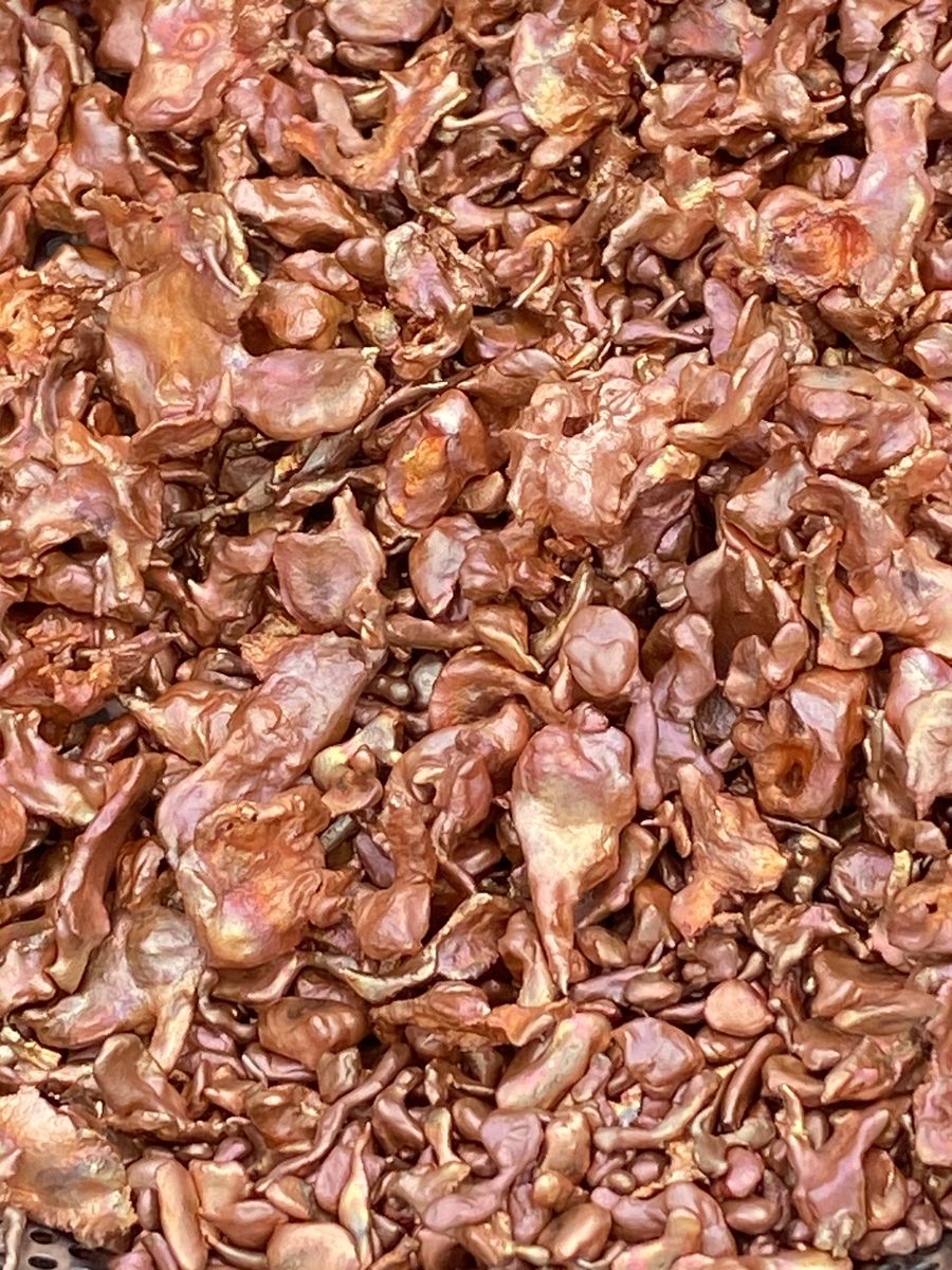 Water Cast Copper Coral .999 Fine Copper