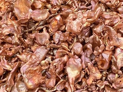 Water Cast Copper Coral .999 Fine Copper