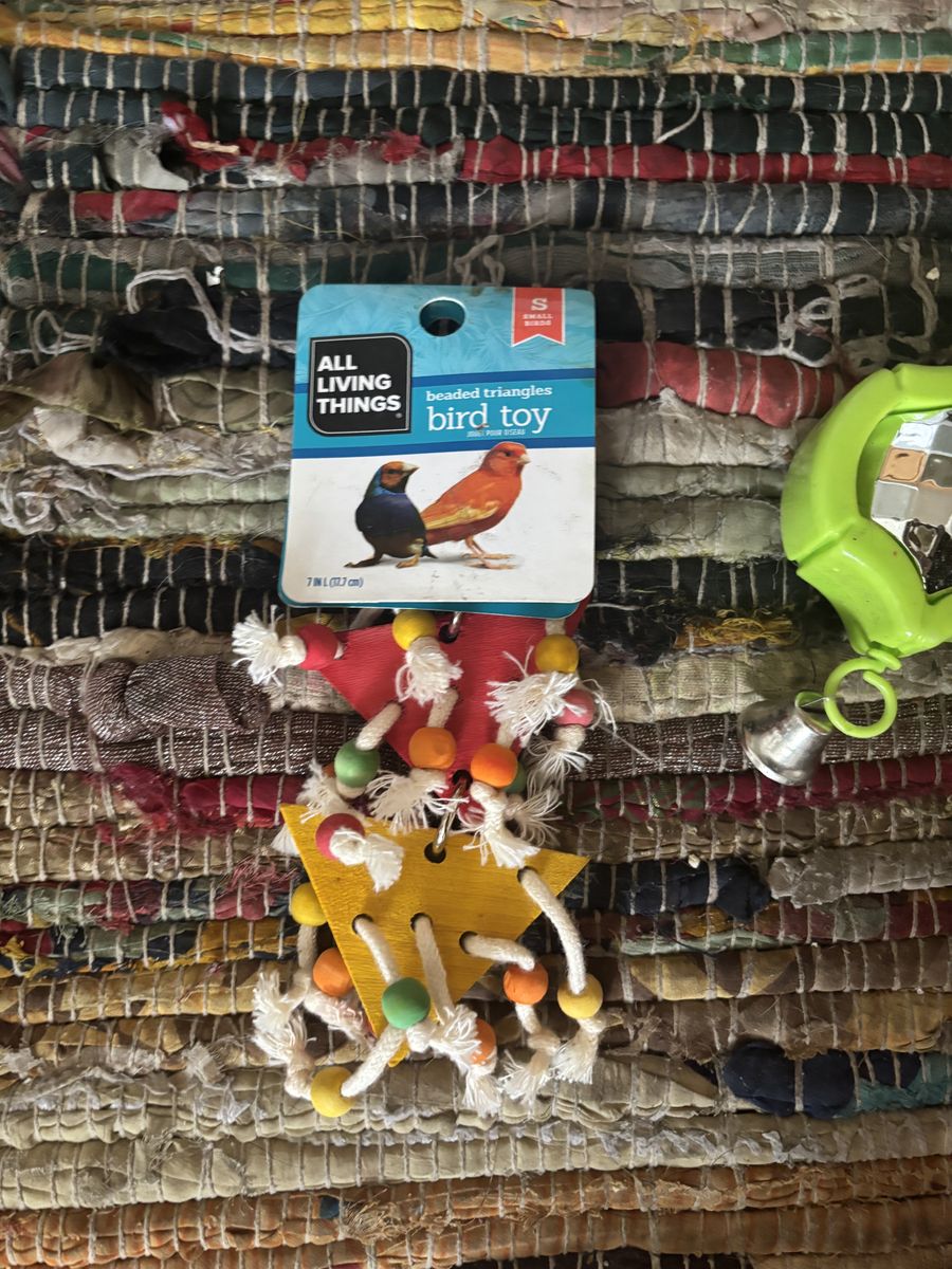 Brand New Bird Toys