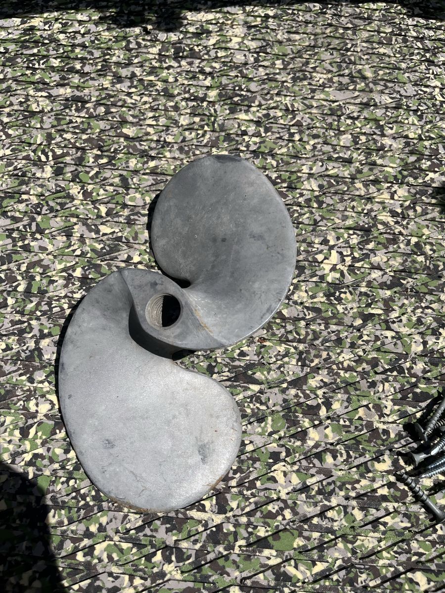 Main image 6