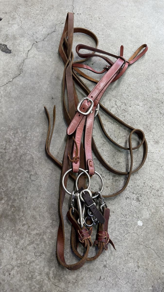 Headstall, Bit and Leather Split Reins