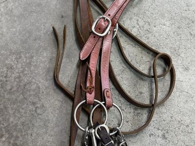 Headstall, Bit and Leather Split Reins