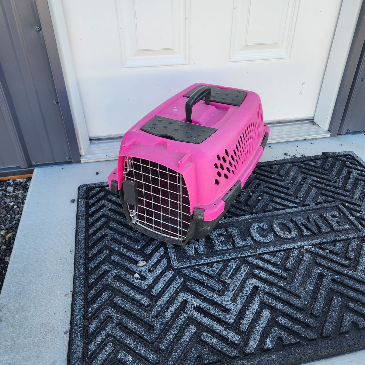 Small Pet Crate Carrier Hard Plastic Case Travel Cat Dog Pink Cage Kennel