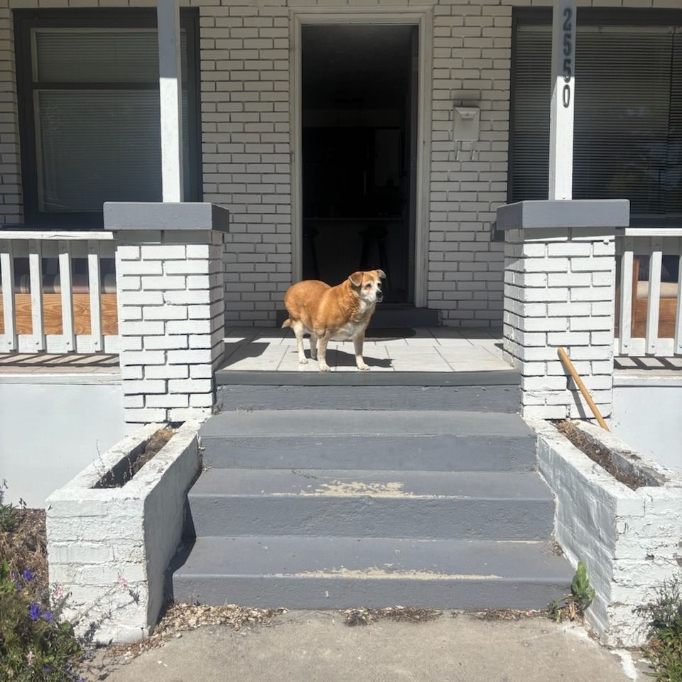 Main image 5