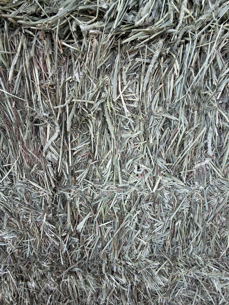 Main image 3