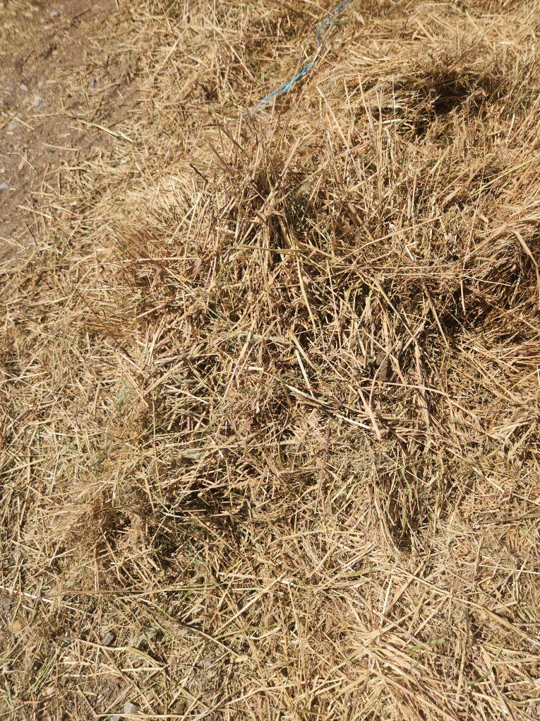 Main image 4