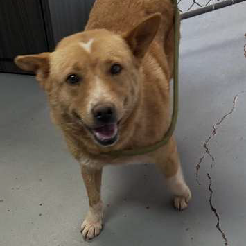 Hello my name is Maxie