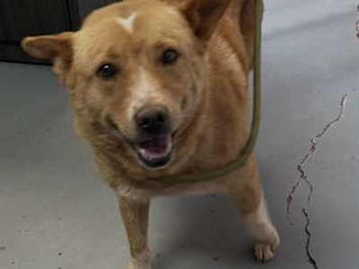 Hello my name is Maxie