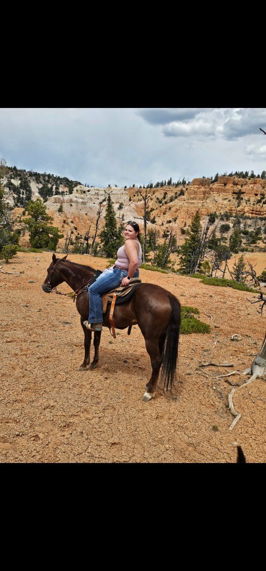 kid safe ranch mare