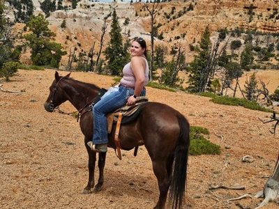 kid safe ranch mare