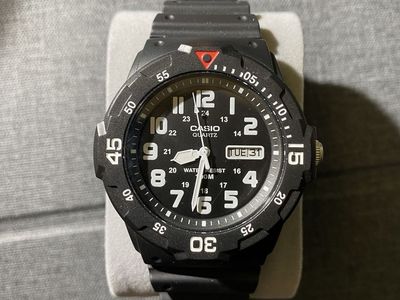Casio Dive Watch