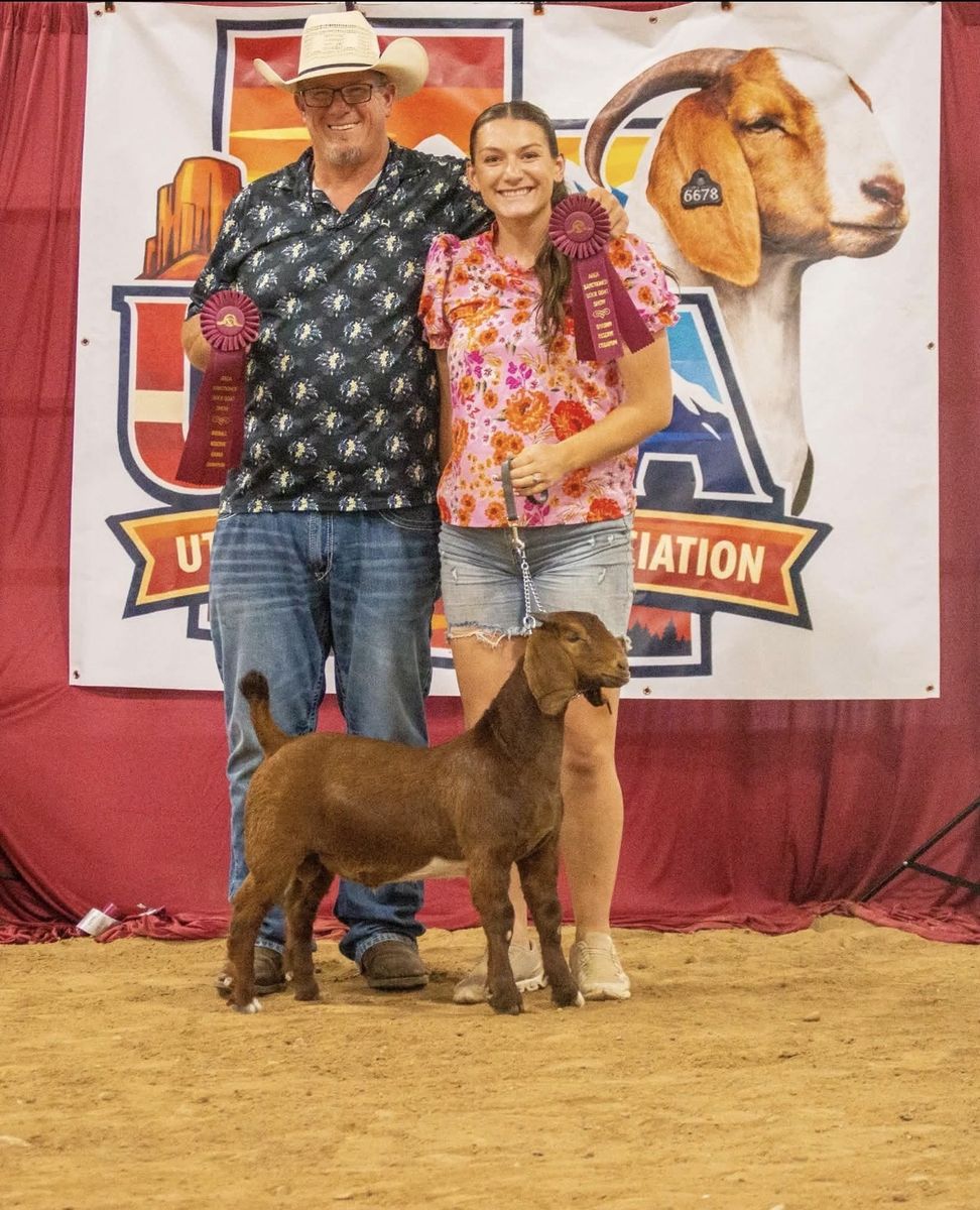 ABGA Boer Buck 