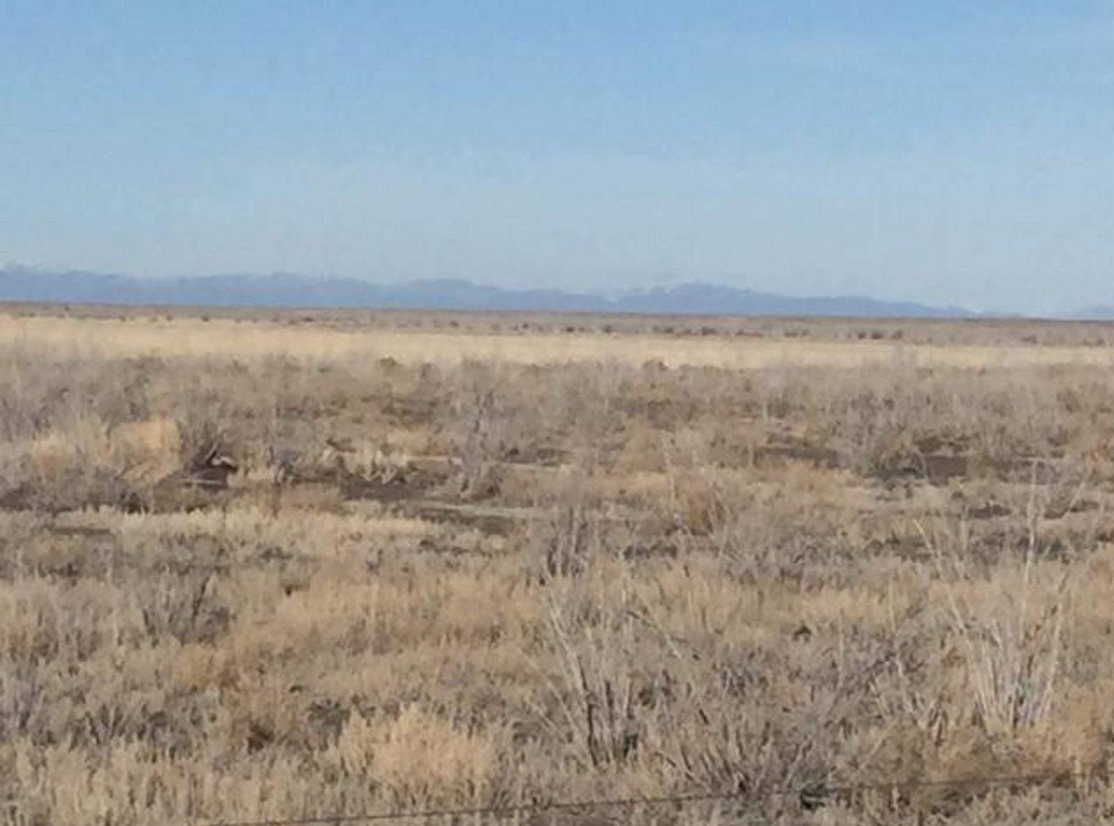 520 acres 1500 S 15000 W Delta, UT 84624