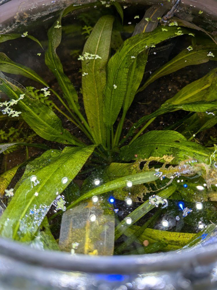 Main image 2