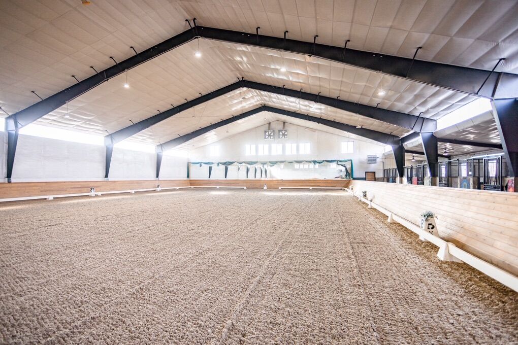 Premier Horse Boarding In alpine