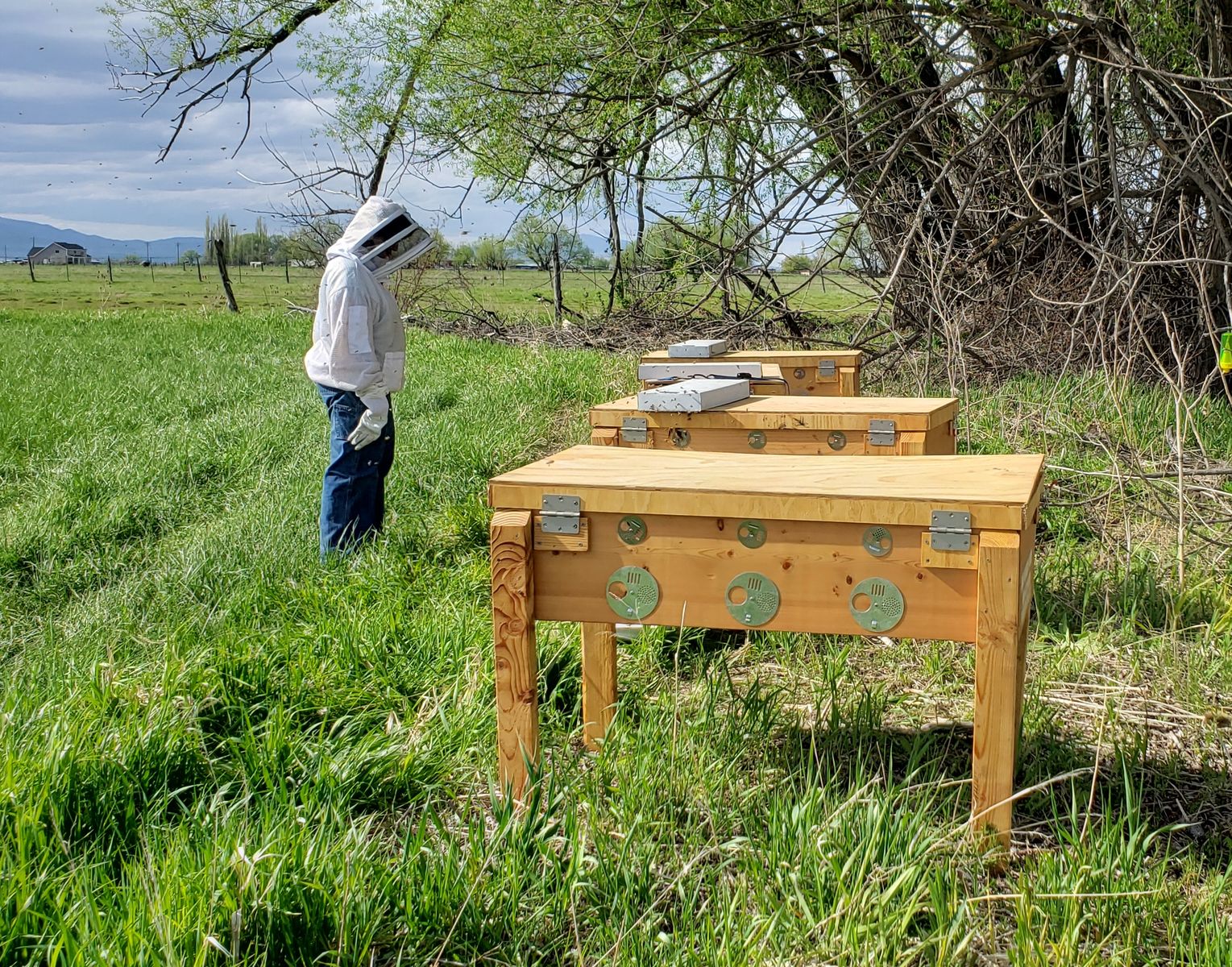 Longstrothe Beehive Box with insulation, 22 frames included