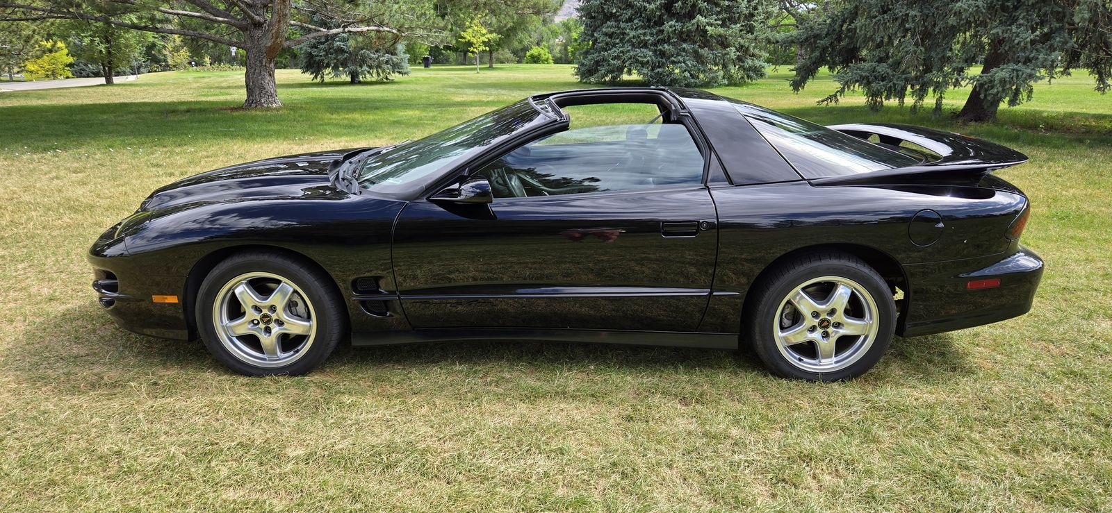 Main image 8