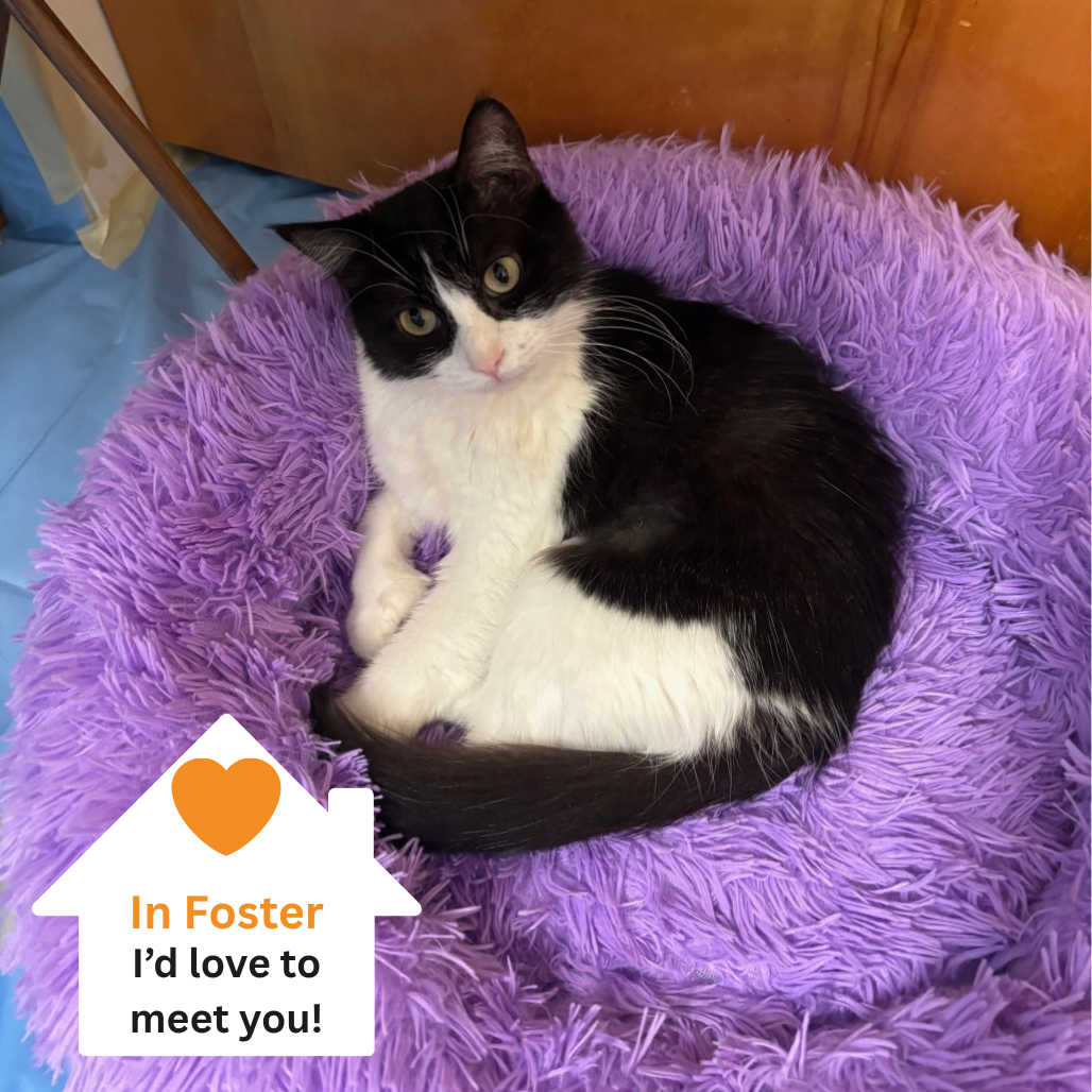 Hello my name is Maka