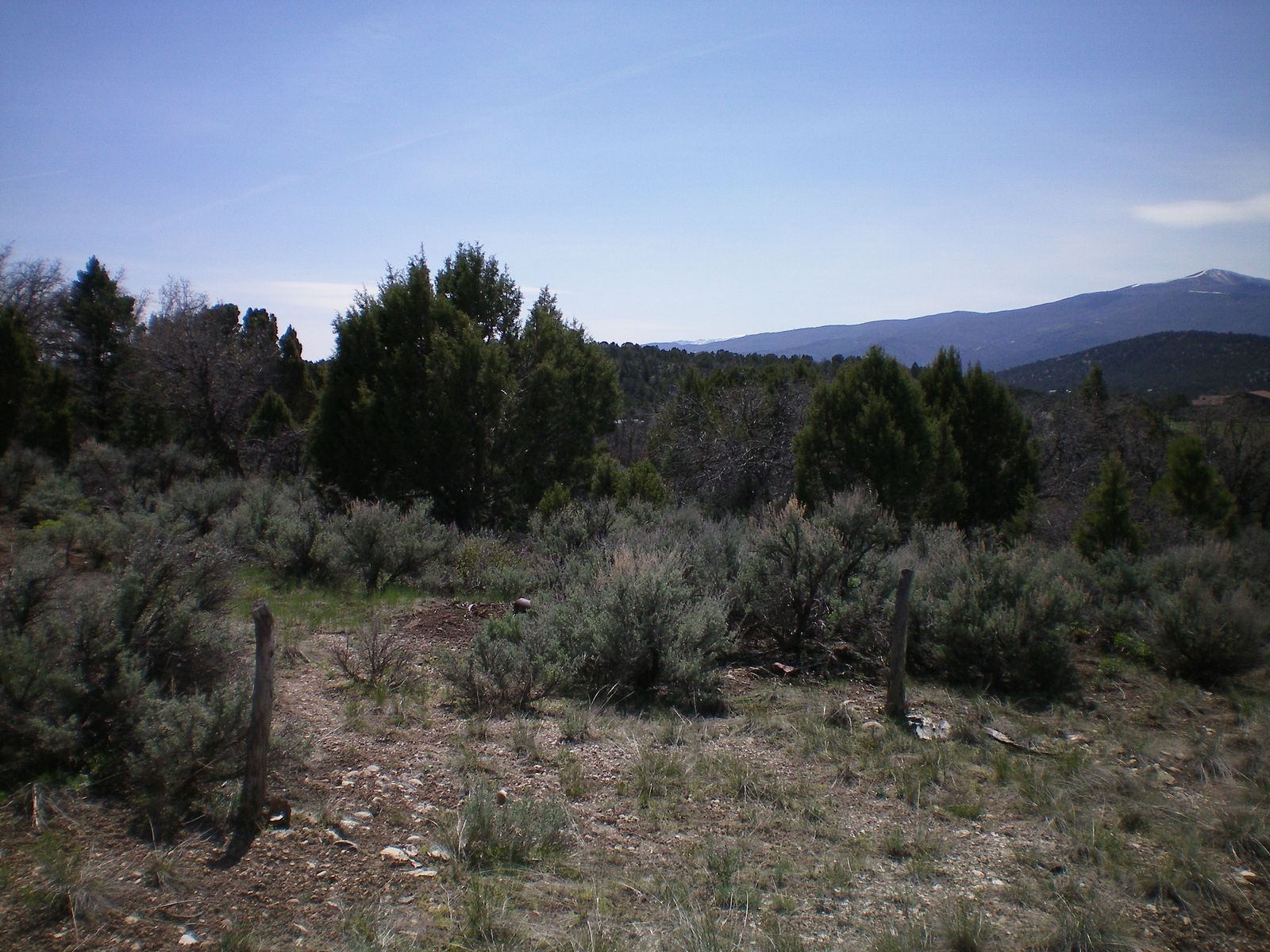 Main image 2