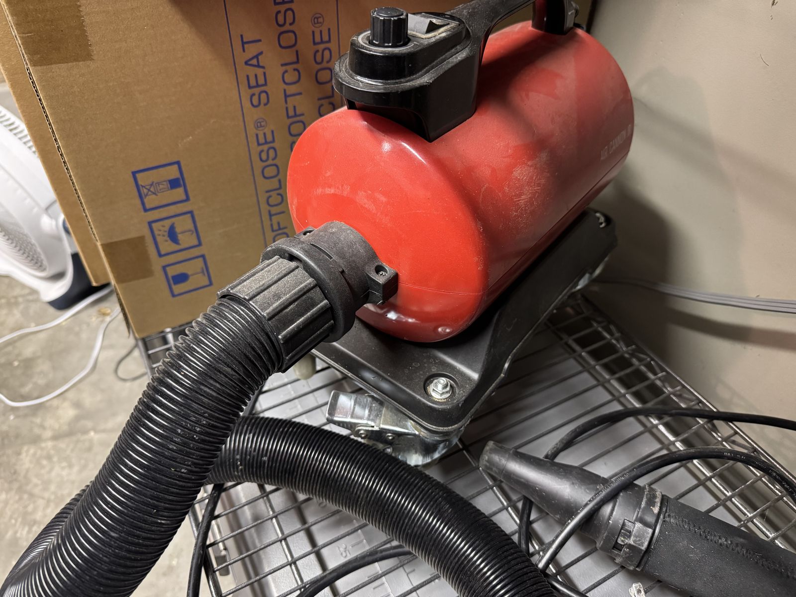 Adam's Polishes Air Cannon Jr.