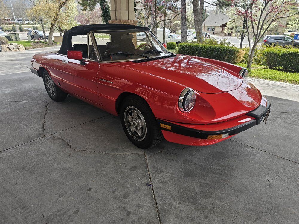 1985 ALFA ROMEO SPIDER Veloce