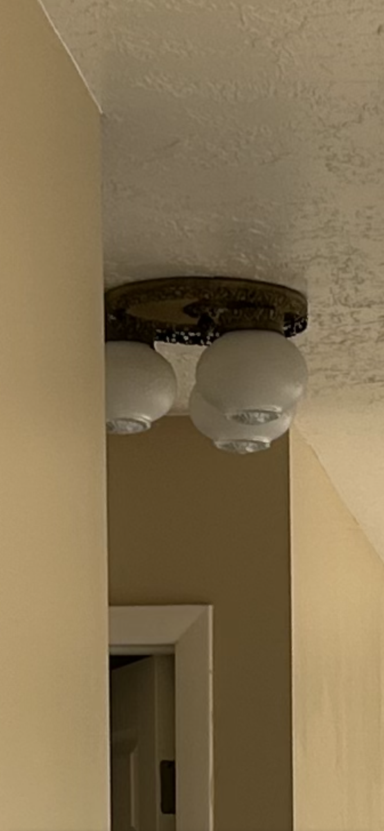 Flush mounted ceiling light