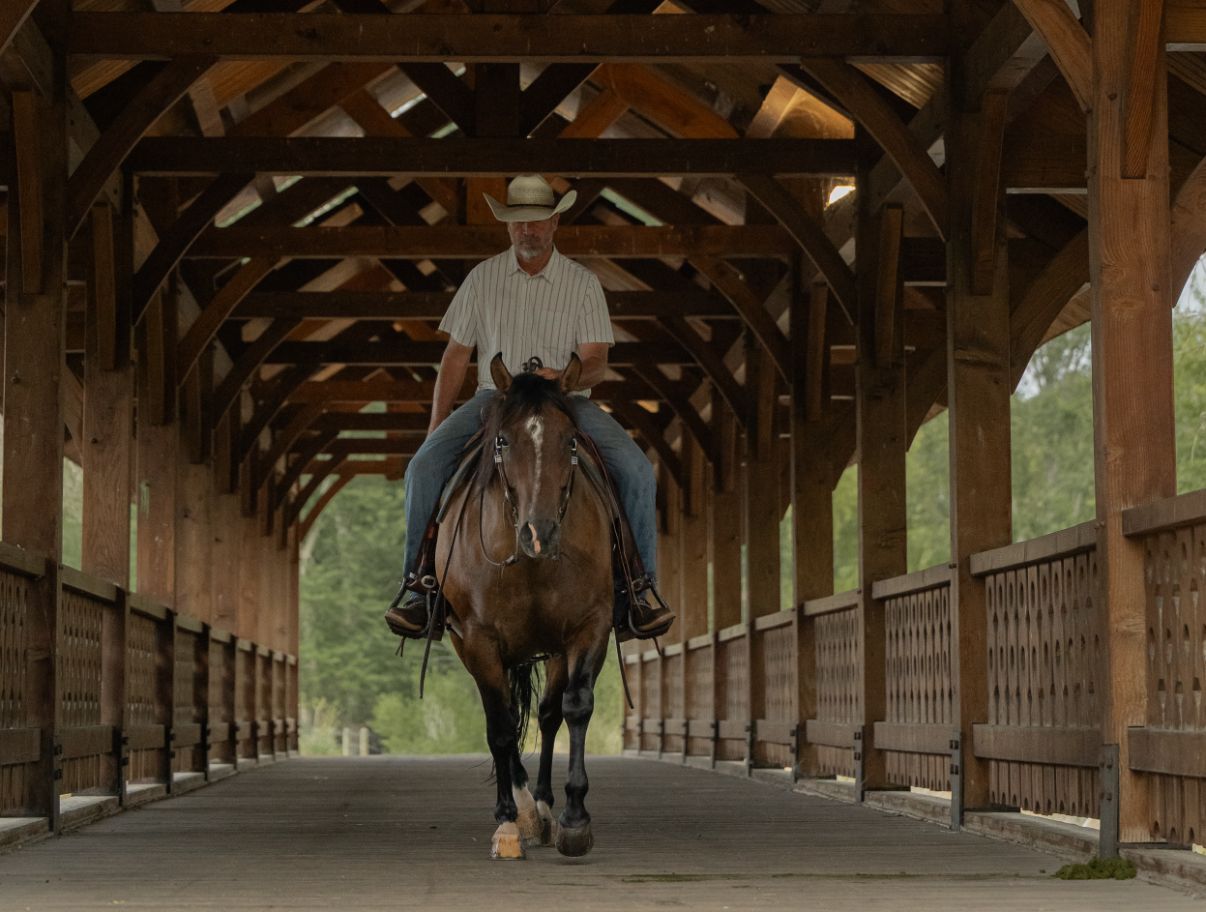 MRD Guy Bucked Barb 2020 AQHA Gelding