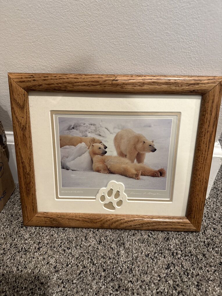 Bad Boys Of The Arctic