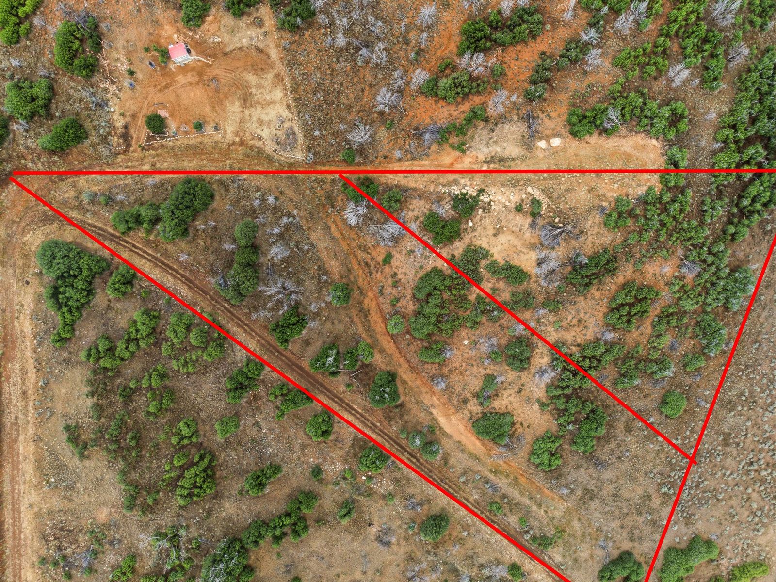 Main image 9