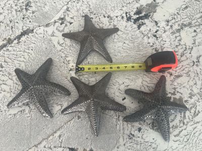 Set of 4 Silver Metal Starfish Wall Decor Coastal Ocean Theme