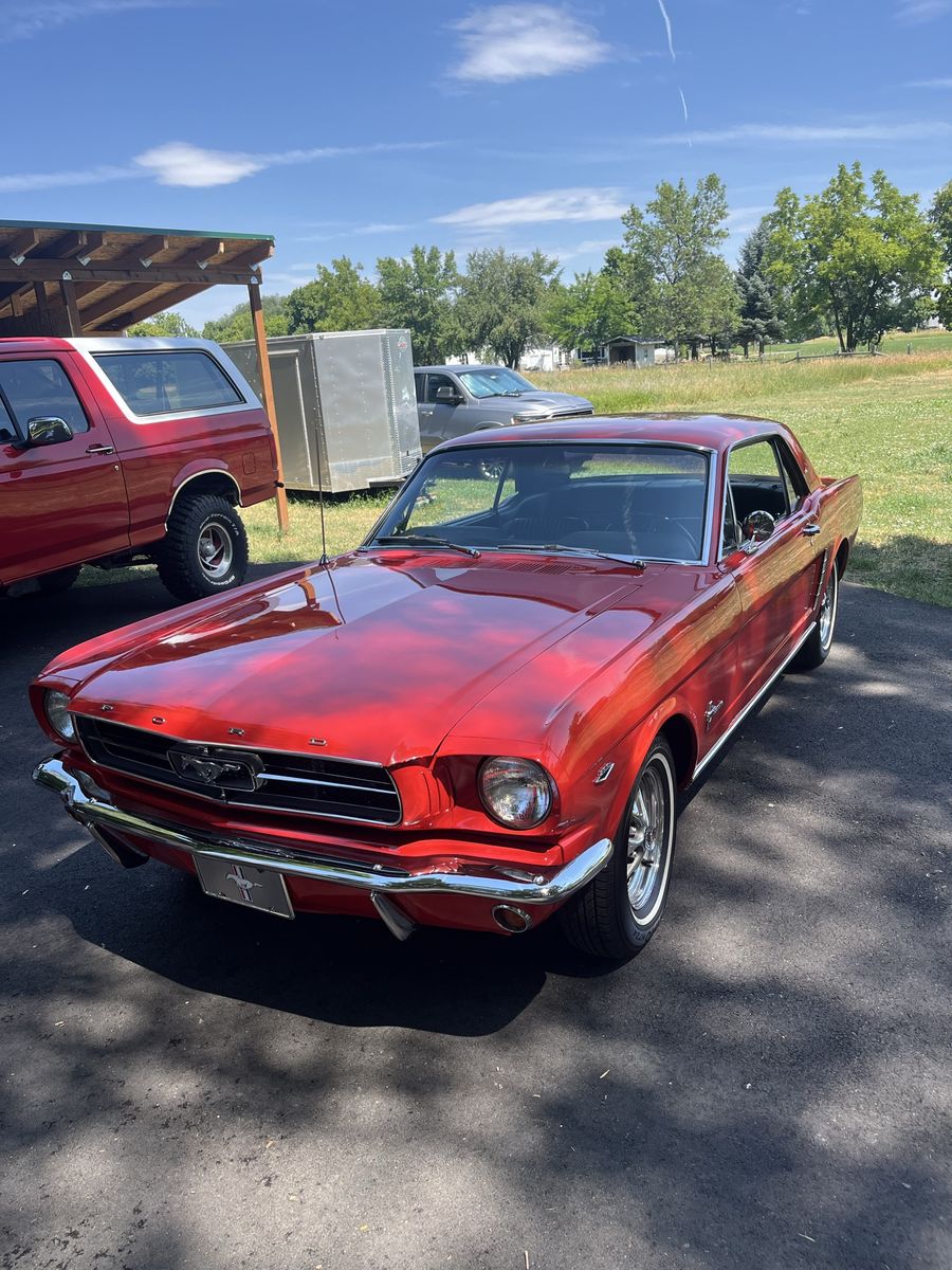 1965 Ford Mustang 