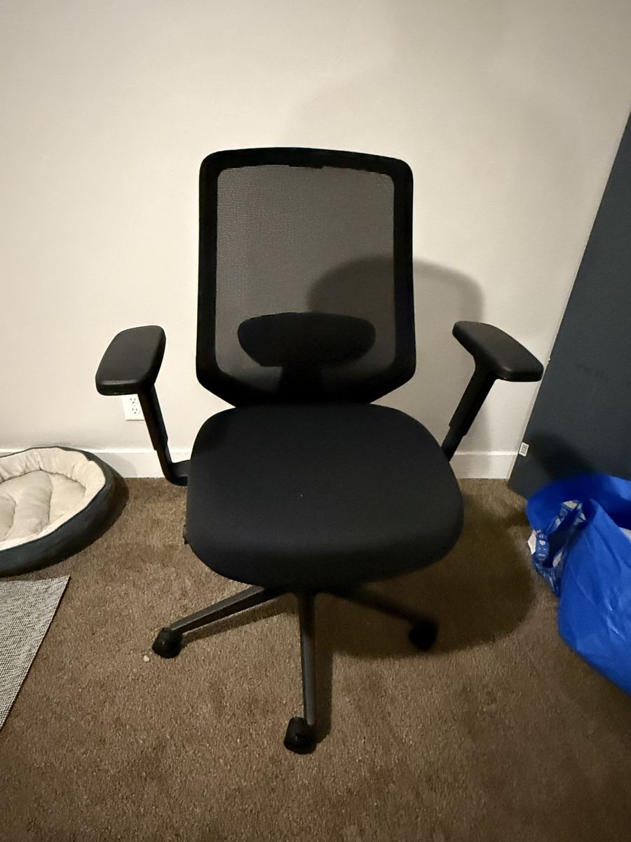 Branch Ergonomic Chair Pro - Black Mesh