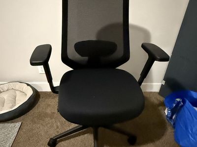 Branch Ergonomic Chair Pro - Black Mesh