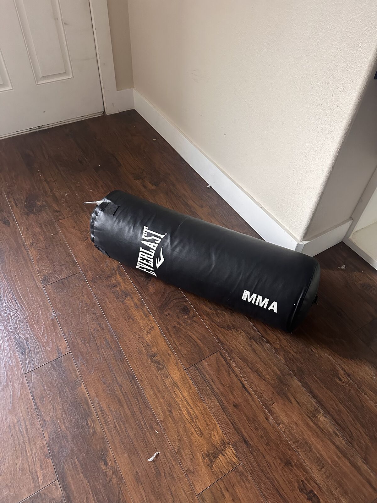 Everlast 70lb MMA Heavy Bag.