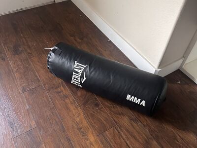 Everlast 70lb MMA Heavy Bag.