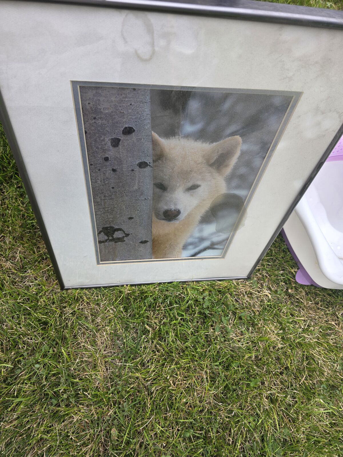 Framed wold picture