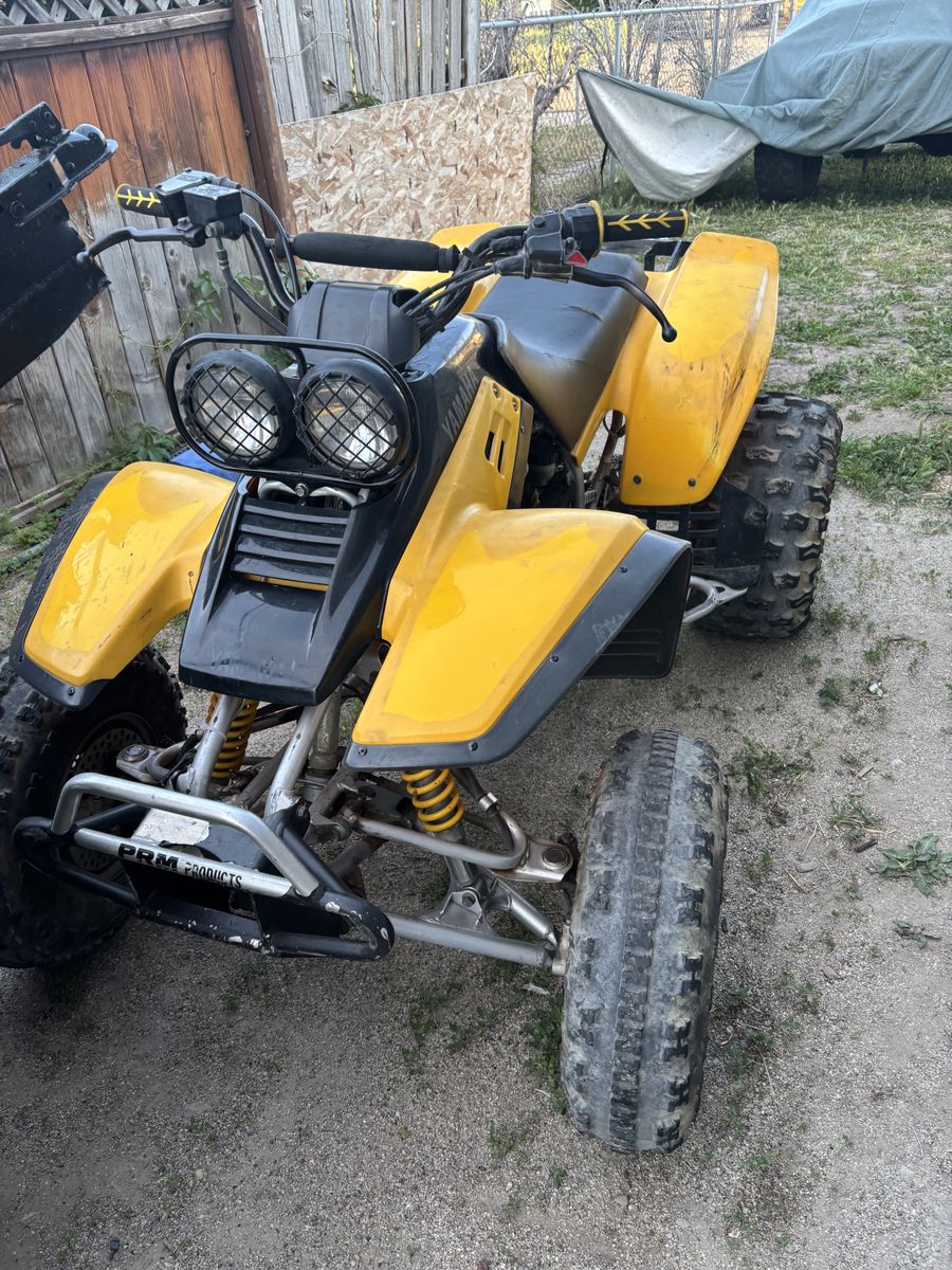 Yamaha Warrior