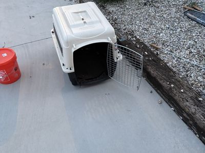 Dog Kennel
