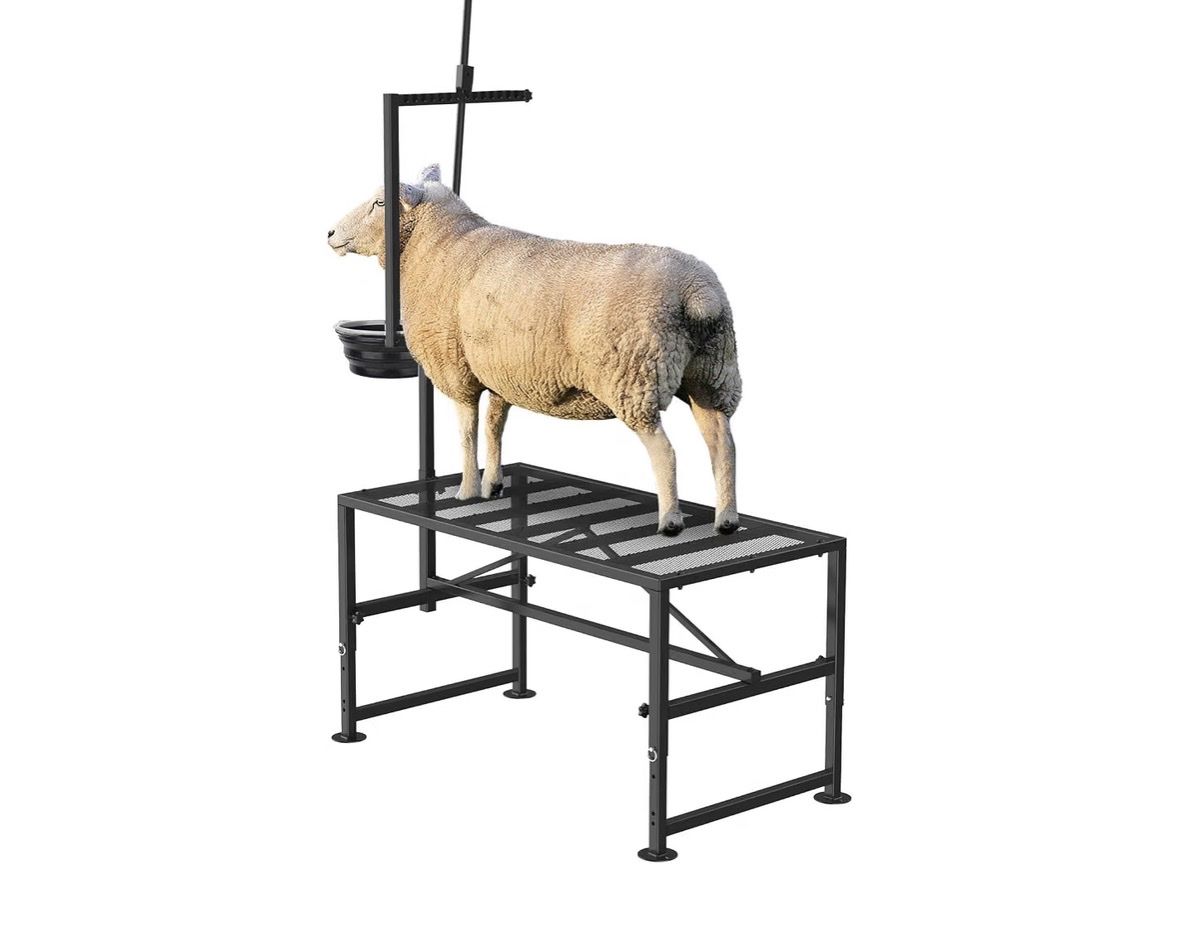 Livestock Grooming Stand for Sheep and Goats with Adjustable Headpiece