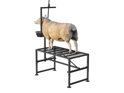 Livestock Grooming Stand for Sheep and Goats with Adjustable Headpiece
