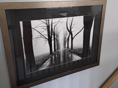 Framed picture of runner