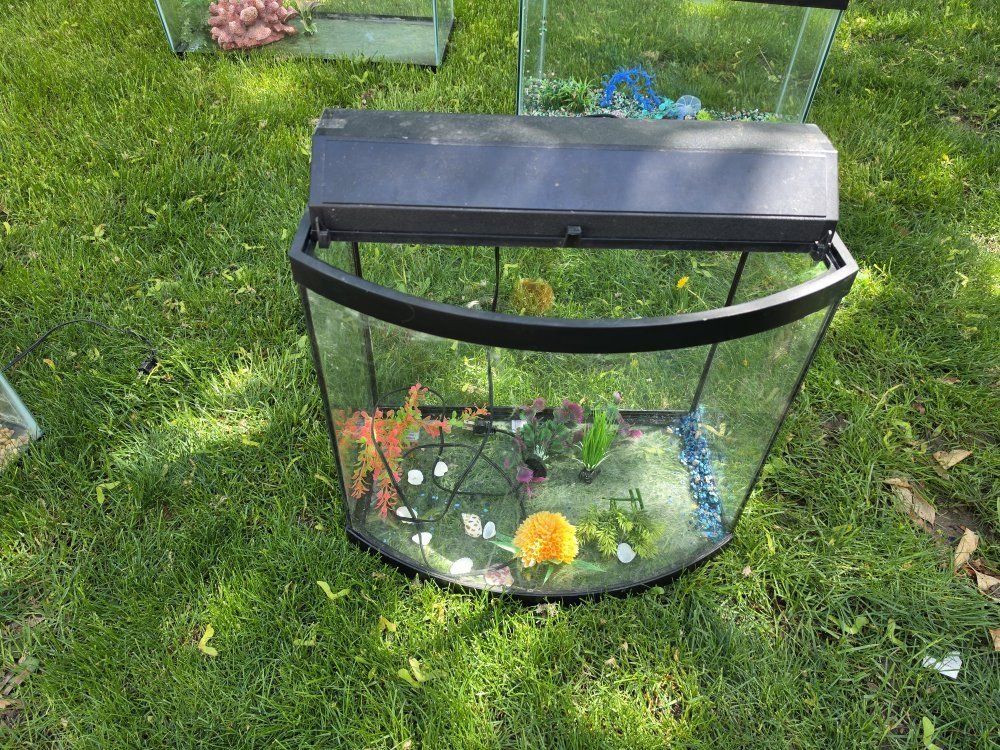 20 gallon bow front fish tank