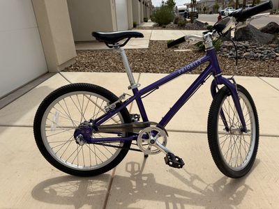 Priority Start 20” Kids Bike – 3-Speed Belt Drive