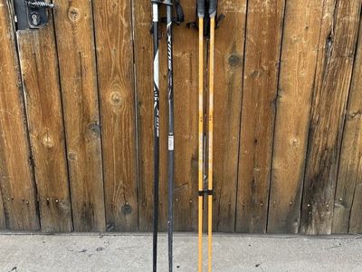 Ski poles - 120 and 115 cm