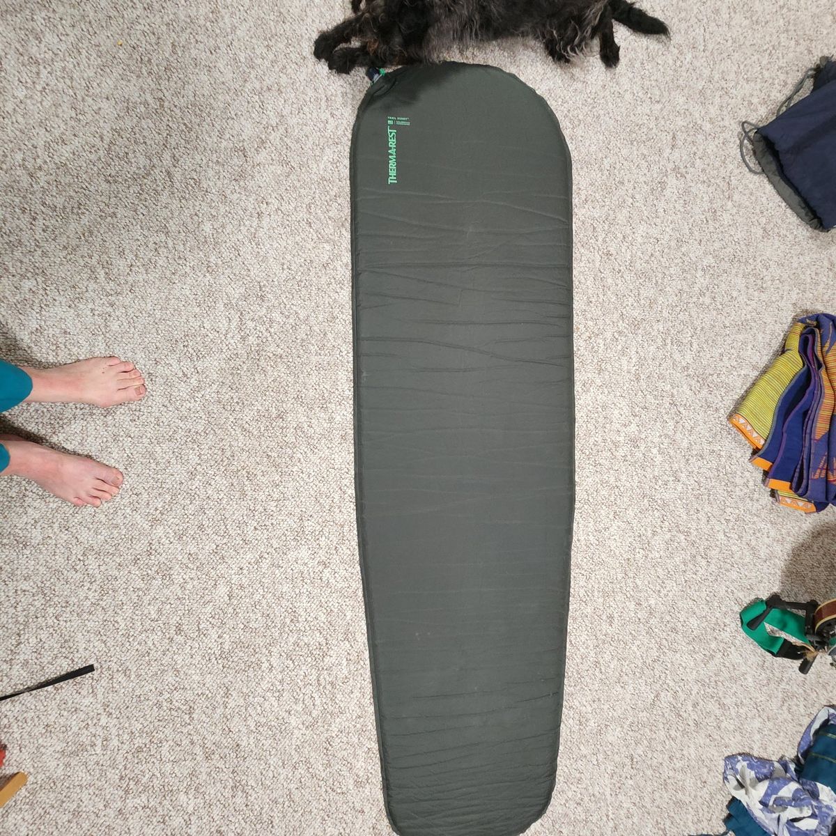 Therm-a-Rest Trail Scout Self-Inflating Sleeping Pad Regular Olive Green Camping Mat