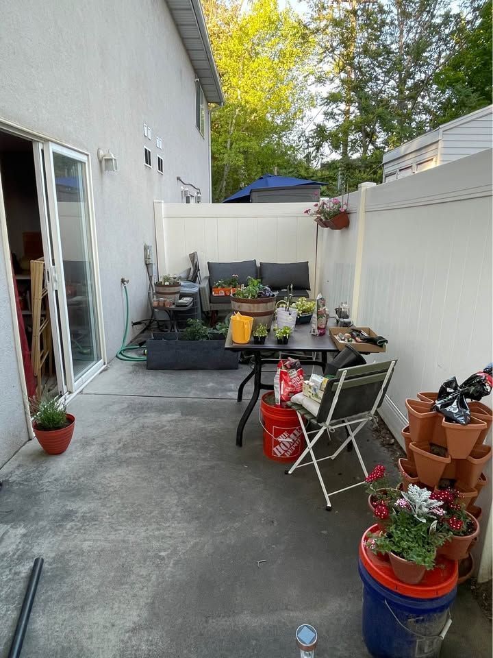Main image 7