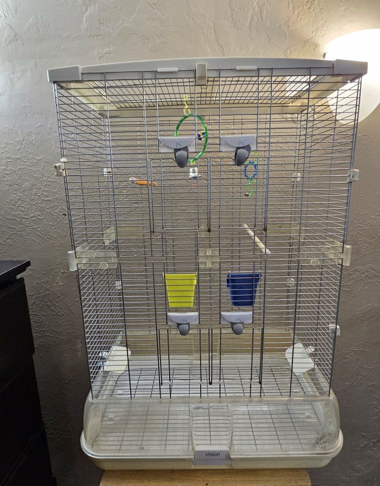 Large Vision Bird Cage